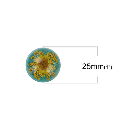 Resin Cabochon Random Mix, Round, 25mm 2pcs