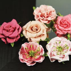 Prima Lilliput Roses 6/Pkg, Teaberry