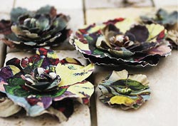 Prima Gallery Roses, Rousseau