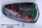 Polished Violet Oyster Shell Bead, 45mm x 25mm, 1pc