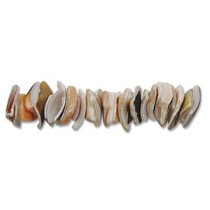 Shell Beads Square Cut luanos 8mm 16 in strand