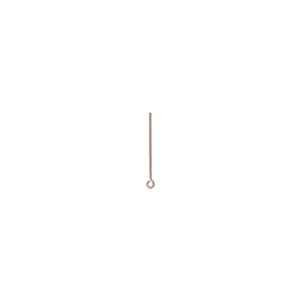 pre order-eye-pins-029-dia-x-1-inch-copper-plate-144-pcs