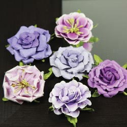 Prima Lilliput Roses 6/Pkg, Iris
