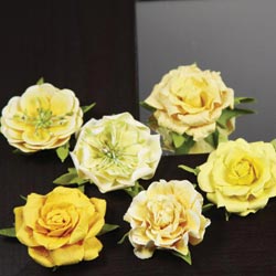 Prima Lilliput Roses 6/Pkg, Yellow