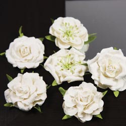 Prima Lilliput Roses 6/Pkg, Marshmellow